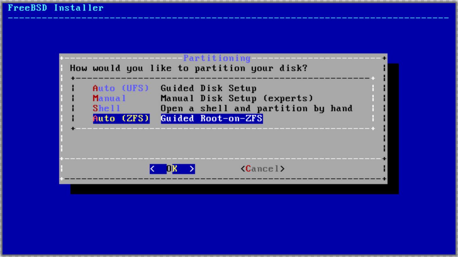 FreeBSD partition selection